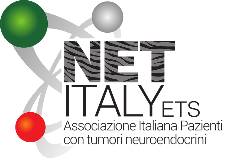 logo Net Italy footer